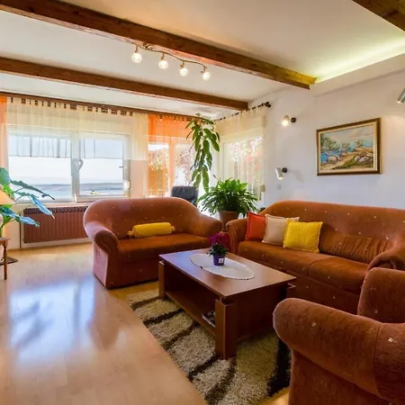 Ljiljana D 德拉马利